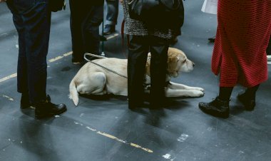 Ana Rita Teodoro comissaria um ciclo para pensar a audiodescrição em dança