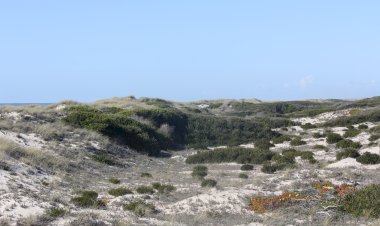 "Dunas Summer Bay" abre edição 2022 do Festival Dunas de São Jacinto