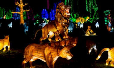 Zoo Santo Inácio: Festival Luzes Selvagens