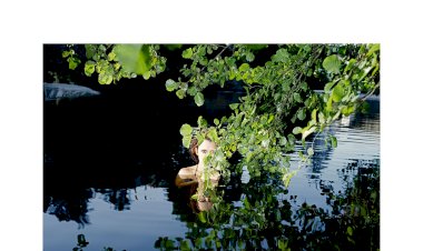 Tito Mouraz: exposição FLUVIAL em Viseu