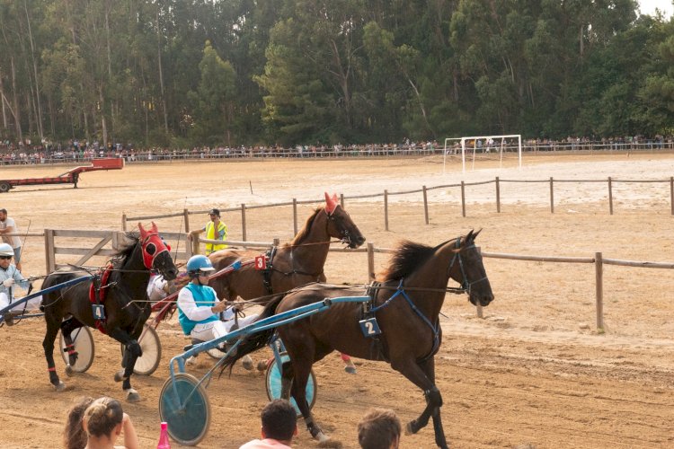 XXIV Corrida de cavalos a galope e trote atrelado