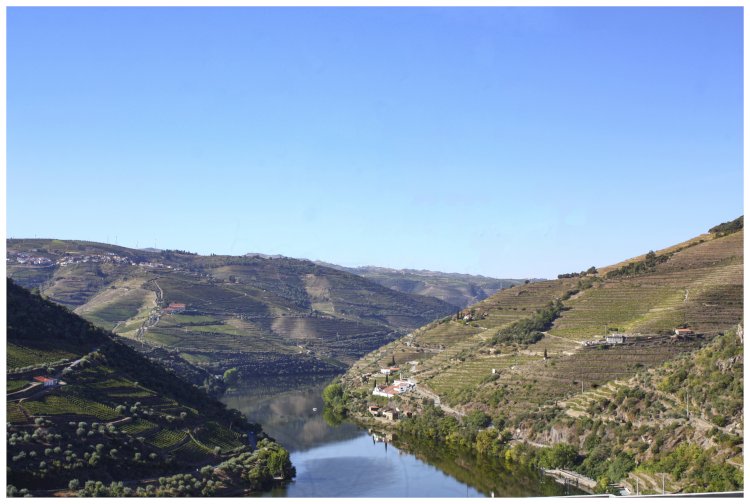 Miradouro de Casal de Loivos, Pinhão