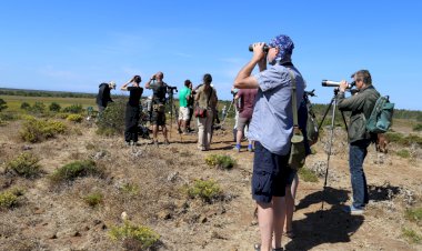 O maior evento nacional dedicado às aves e Natureza arranca amanhã em Sagres