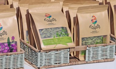 Marca “É Capaz” comemora o primeiro aniversário