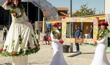 Feira da Maçã de Armamar