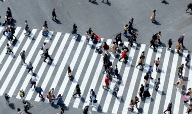 Ciclo Fidelidade - Culturgest debate Economia e Alterações Climáticas e Diversidades e Inclusão