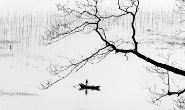 Multipremiado da fotografia leva “Symbiosis” ao Convento Espírito Santo, em Loulé