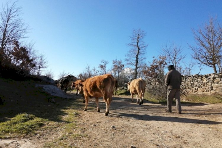 A rotina matinal