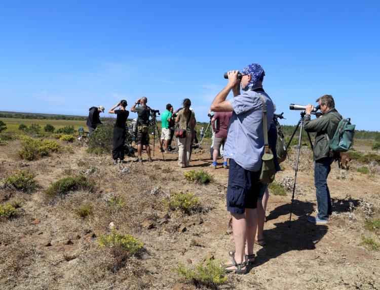 O maior evento nacional dedicado às aves e Natureza arranca amanhã em Sagres