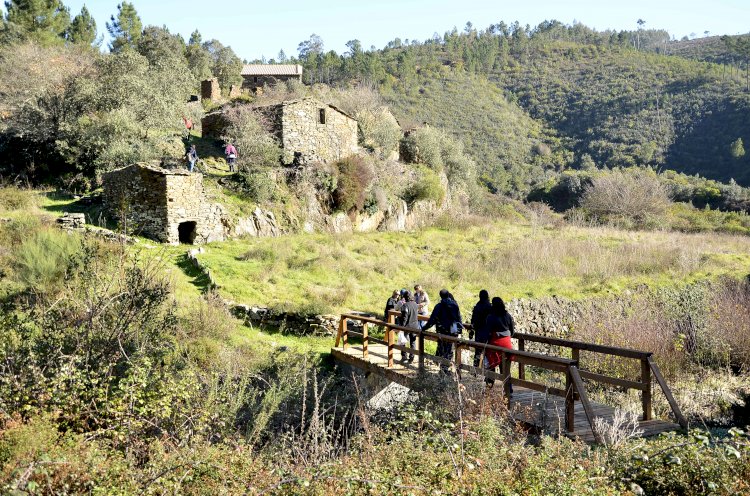 Caminhar e fazer Geocaching em Pessegueiro