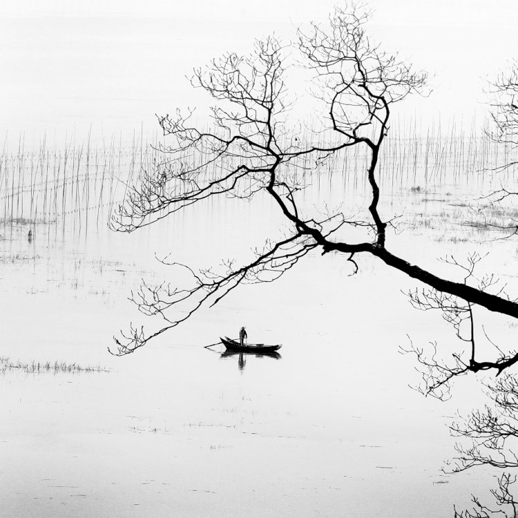 Multipremiado da fotografia leva “Symbiosis” ao Convento Espírito Santo, em Loulé