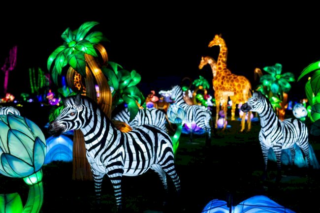 Luzes Selvagens e Casa dos Animais Nocturnos são as sugestões para a noite mais assustadora do ano