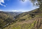 Enoturismo no Douro