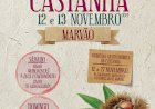 Festa do Castanheiro - Feira da Castanha em Marvão