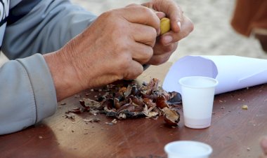 Castro Marim celebra São Martinho com magustos por todo o concelho