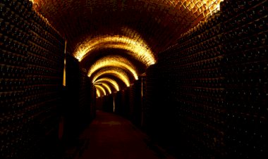 Enoturismo - Setúbal