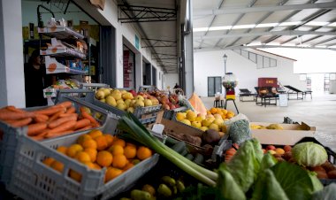 Sabores locais em prova no Mercado de Cantanhede