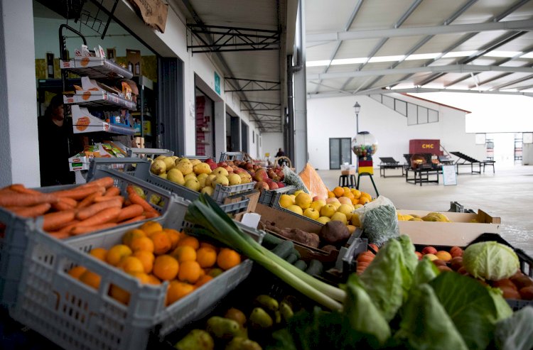 Sabores locais em prova no Mercado de Cantanhede