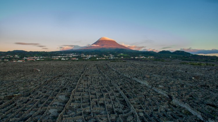 Pico e São Miguel reunidas em nome da cultura gastronómica e vínica Açoriana