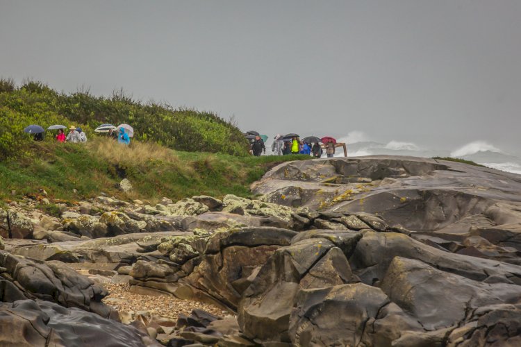 Andainas pelo Trilho do Litoral Norte foram sucesso e nem a chuva assustou os participantes