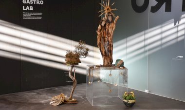 João Pinto “A Natureza do Natal II” na COMUR-Museu Municipal