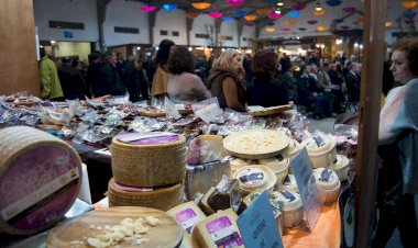 Macedo de Cavaleiros volta a ser a Capital da Caça e do Turismo