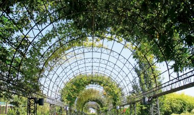 Festival Internacional de Jardins de Ponte de Lima 2023