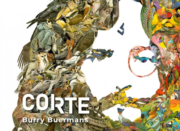 Exposição "Corte", de Burry Buermans, na Paços