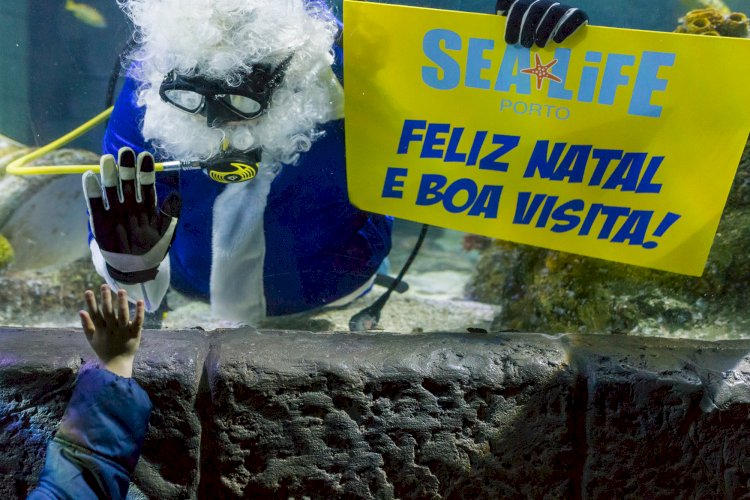 Pai Natal dos Oceanos cumpre tradição e mergulha no SEA LIFE Porto