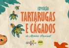 Exposição “Tartarugas e Cágados” no Posto de Turismo de Estremoz