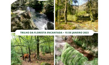 “12 Meses 12 Caminhadas 2023” – Programa Anual de Trilhos Pedestres