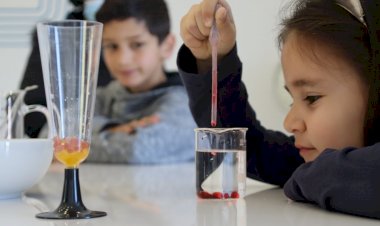 Ílhavo comemora o aniversário do Estaleiro, a casa da ciência de e para todos