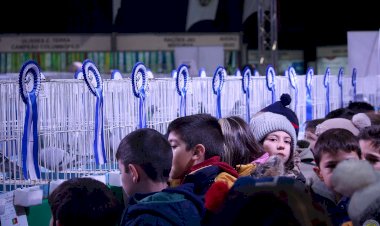 48ª Exposição Nacional de Columbofilia e 1ª Exposição da Confederação Mediterrânica de Columbofilia