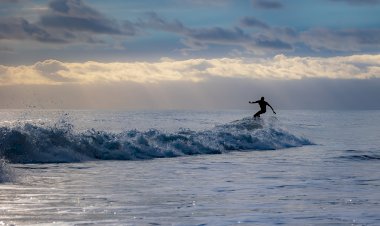 Federação Portuguesa de Surf selecciona lote de surfistas para projecto olímpico