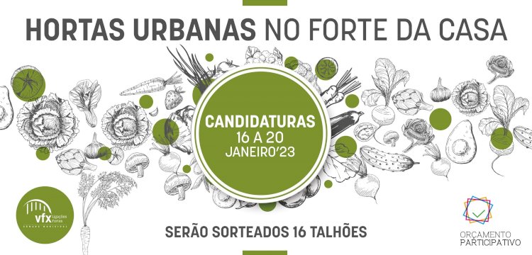 Hortas Urbanas no Forte da Casa