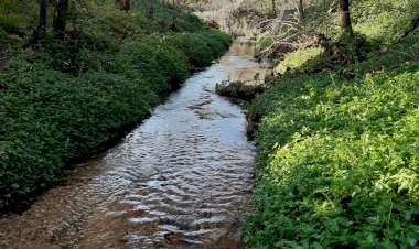 UC apresenta projecto de 5 milhões que vai estudar a relação entre a saúde humana e os ecossistemas aquáticos urbanos