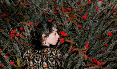 Toquei no Sol, o disco a solo de Marlene Ribeiro