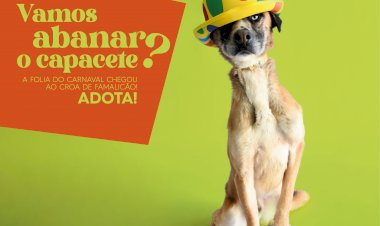 A folia do Carnaval chegou ao CROA de Famalicão