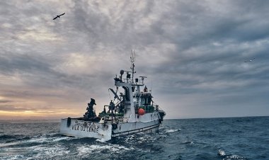 'Sardinha, o sem fim da pesca do cerco'