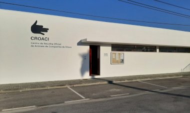 Centro de Recolha Oficial de Animais de Companhia de Ílhavo apto para receber gatos