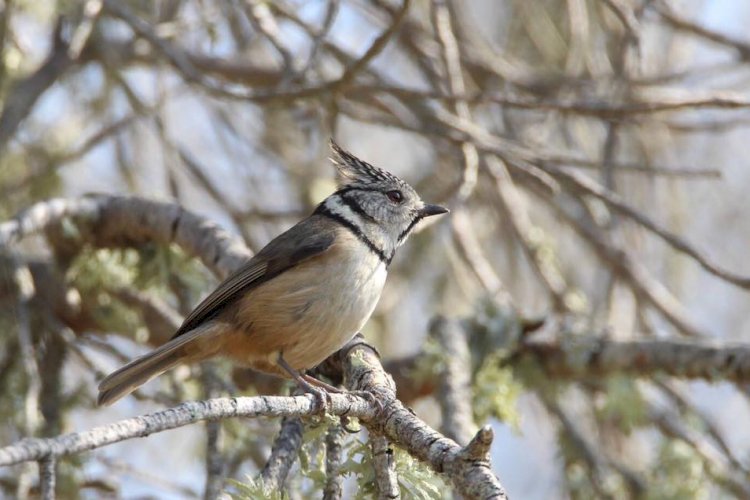 Percursos naturais pelo território de Portimão