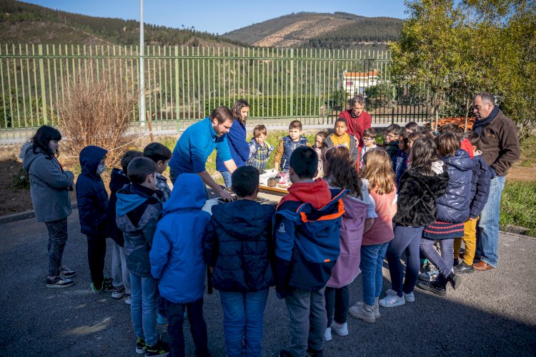 Alunos da Escola Sede “reabrem” Restaurante para Polinizadores