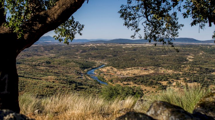 Projeto Landscape Together vai trazer arte e cultura para as paisagens de Idanha