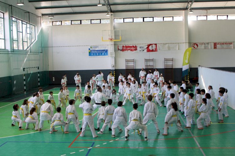 Oleiros foi sede da zona Centro do Karaté Shokotan com cerca de 250 atletas
