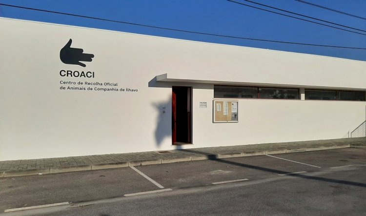 Centro de Recolha Oficial de Animais de Companhia de Ílhavo apto para receber gatos