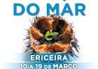 7.º Festival Internacional do Ouriço-do-Mar