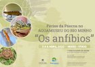Vida dos anfíbios é tema para Férias da Páscoa no Aquamuseu do rio Minho