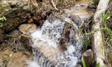 Vagos reforça a sua presença na Bolsa de Turismo de Lisboa 2023