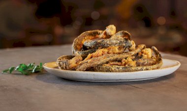 Mês da Enguia de 1 de Março a 2 de Abril no concelho de Salvaterra de Magos