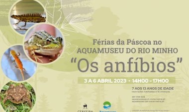 Vida dos anfíbios é tema para Férias da Páscoa no Aquamuseu do rio Minho